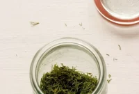 Drying Herbs at Home: Simple Methods for Fresh Flavor Year-Round