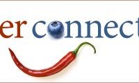 Food Blogger Connect 2010: Highlights and New Blog Layout