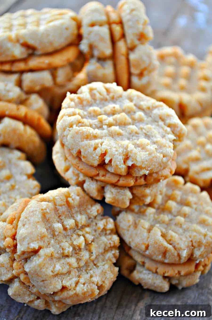 Vegan Nutter Butter Cookies: Homemade Peanut Butter Sandwiches 2 img 1000 1
