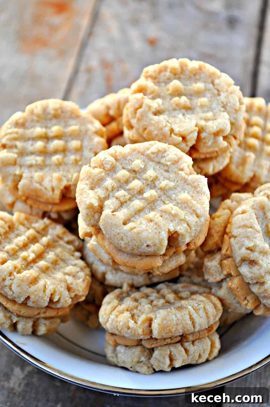 Vegan Nutter Butter Cookies: Homemade Peanut Butter Sandwiches 3 img 1000 2