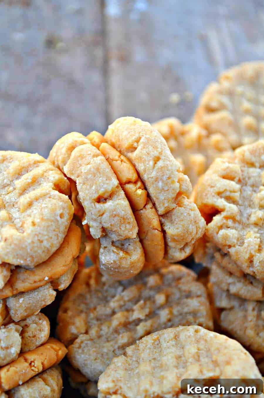 Vegan Nutter Butter Cookies: Homemade Peanut Butter Sandwiches 4 img 1000 3