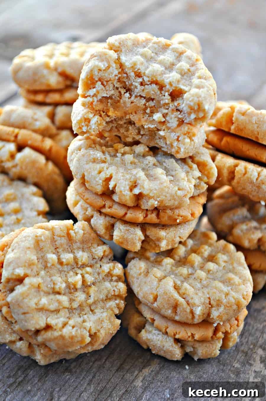 Vegan Nutter Butter Cookies: Homemade Peanut Butter Sandwiches 5 img 1000 4