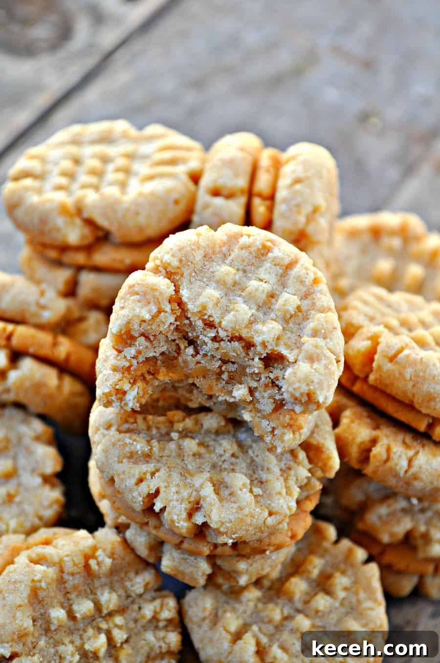 Vegan Nutter Butter Cookies: Homemade Peanut Butter Sandwiches 6 img 1000 5