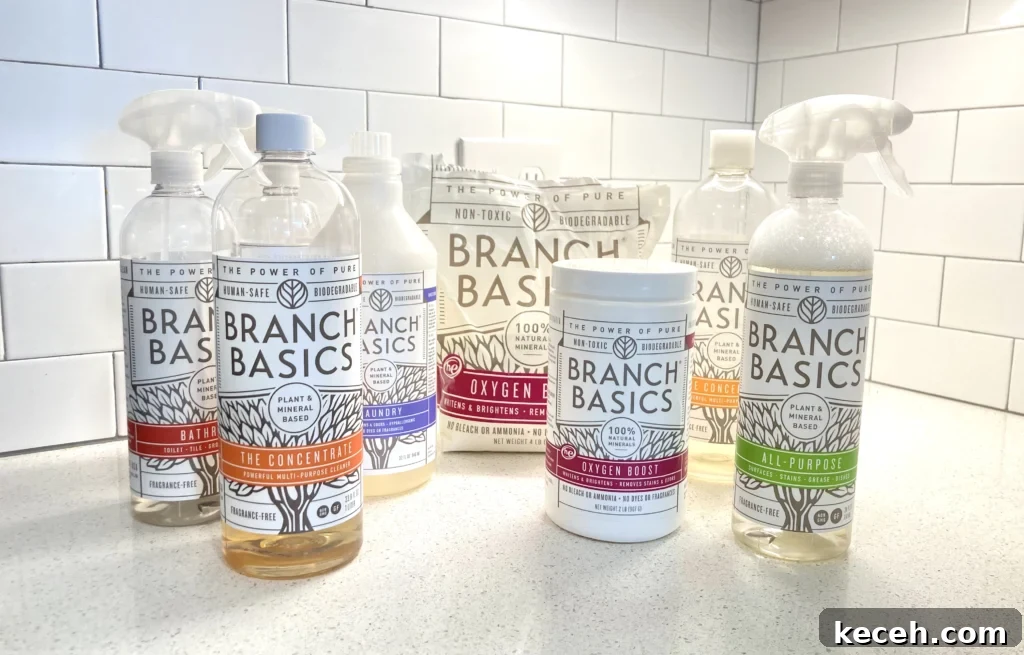 a group of Cleaning Essentials Kit from Branch Basics