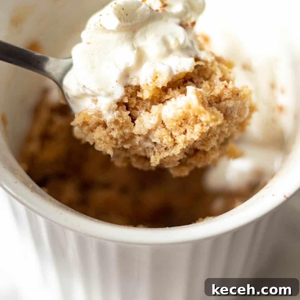 Quick Microwave Apple Mug Cake Recipe for One 2 spoonful of apple mug cake