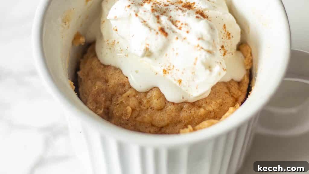 Quick Microwave Apple Mug Cake Recipe for One 3 closeup of apple mug cake