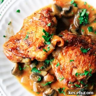Chicken Chasseur (French Hunter's Chicken) — Classic Rustic Recipe 8 Overhead shot of hunters chicken on a white plate