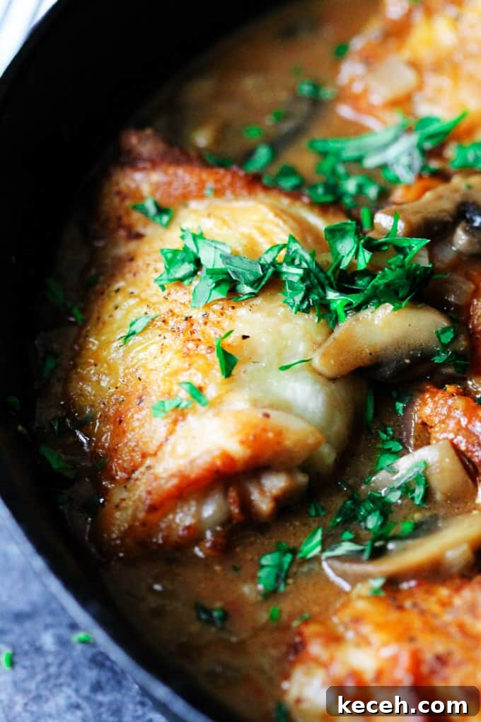Chicken Chasseur or Hunter's Chicken is one of the most popular French chicken recipes. It contains simple ingredients like bone-in chicken, mushrooms, tomatoes, wine, and herbs. It's very easy to make and looks as amazing as it tastes. Serve it to your guests or family, tell them that it's Chicken Chasseur and you'll impress everybody. But once they've actually sunken their teeth into it, I guarantee they'll be speechless (that happened in my house). How does that sound? Close up of French chicken chasseur in a skillet with parsley