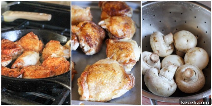 Chicken Chasseur (French Hunter's Chicken) — Classic Rustic Recipe 3 Process shots of making French hunters chicken