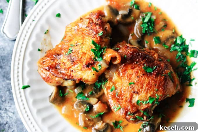 Chicken Chasseur (French Hunter's Chicken) — Classic Rustic Recipe 6 Overhead shot of hunters chicken on a white plate