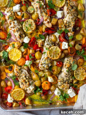 Herby Feta Lemon Chicken and Veggie Sheet Pan Dinner by Baking The Goods