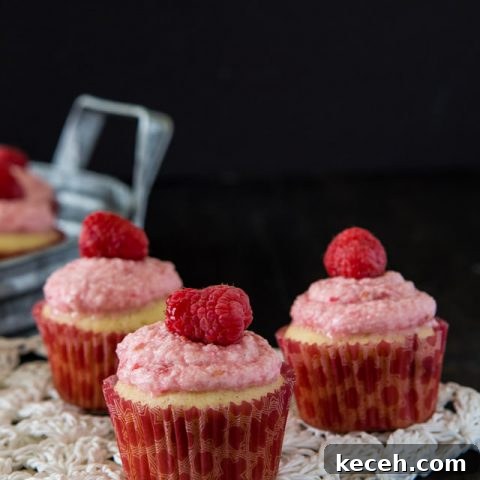Raspberry Vanilla Bean Cupcakes