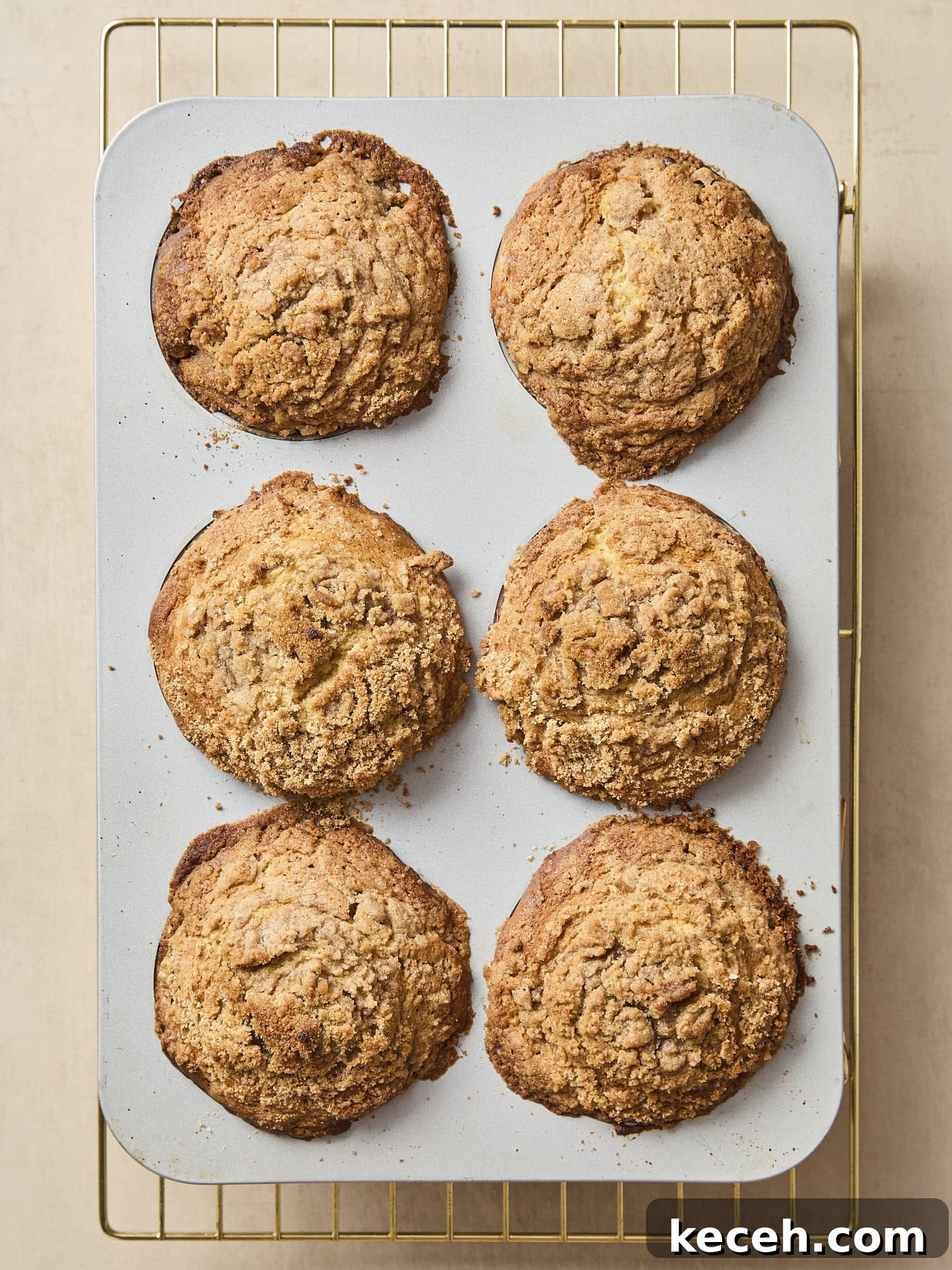 Tangy Rhubarb Muffins with Crunchy Streusel Topping 9 Baked rhubarb muffins in the baking pan.