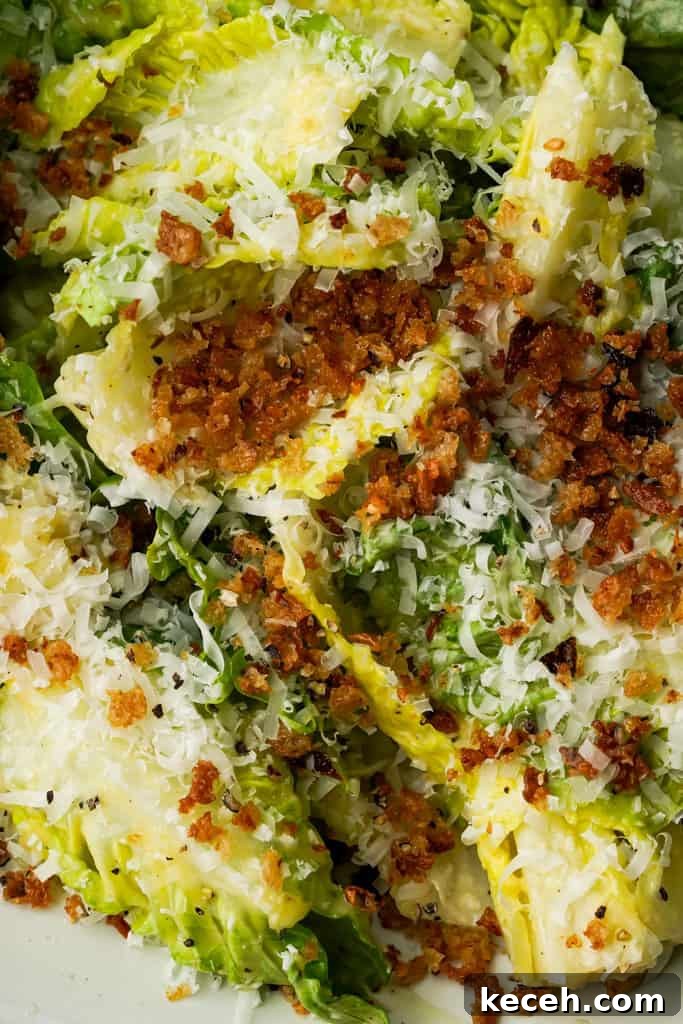 Recipes for Caesar salad ceasar salad recipe with dressing, parmesan, and focaccia breadcrumbs