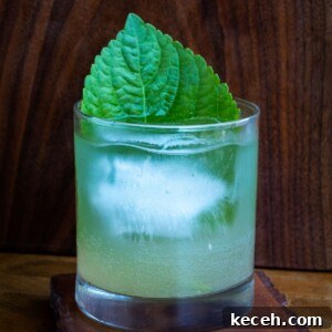 Perilla Cucumber Mojito portrait