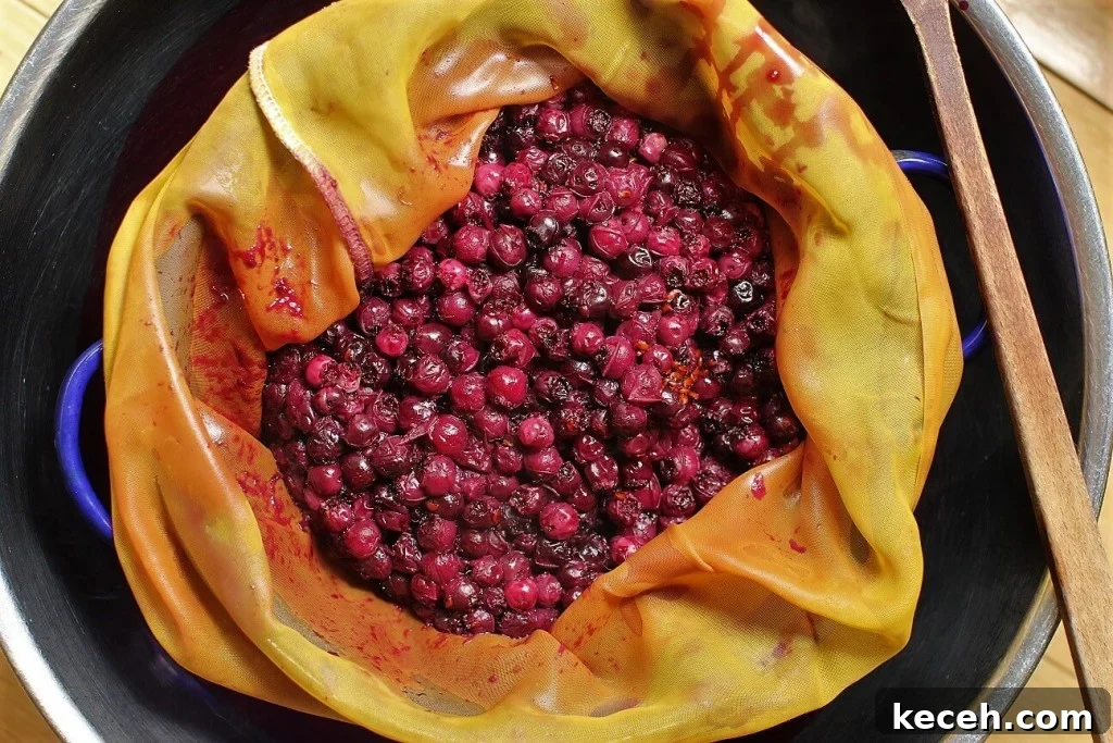 Saskatoon Berry Jam Recipe: How to Make Classic Prairie Jelly 5 making saskatoon jelly