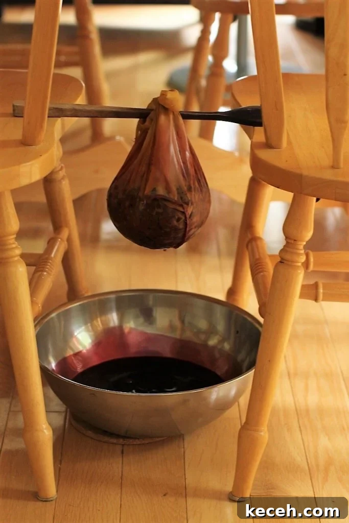 Saskatoon Berry Jam Recipe: How to Make Classic Prairie Jelly 7 saskatoon jelly - dripping jelly bag
