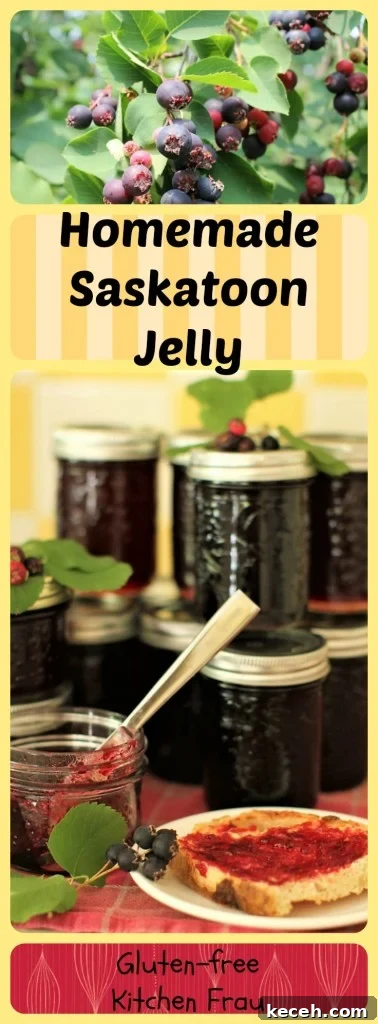 Saskatoon Berry Jam Recipe: How to Make Classic Prairie Jelly 10 Homemade saskatoon jelly is a delicious way to use up your saskatoon berry bounty.