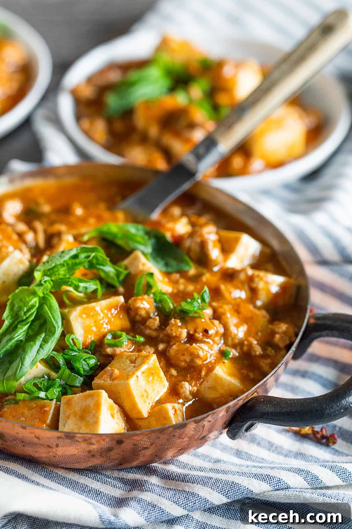 Spicy Ground Pork Mapo Tofu Recipe for Weeknight Dinners 3 Ground Pork Mapo Tofu in a small copper serving bowl.