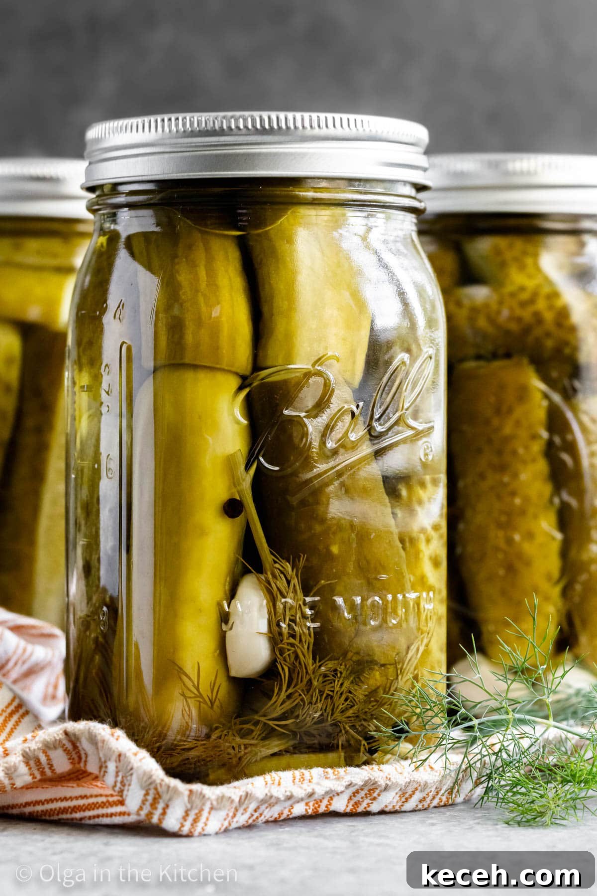 Easy homemade dill pickles: crisp, tangy, and refreshing. Easy homemade dill pickles recipe
