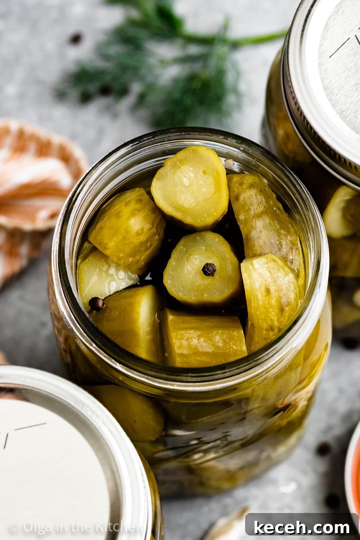 Homemade dill pickles: crisp, tangy, and refreshing. The best dill pickle chips recipe.