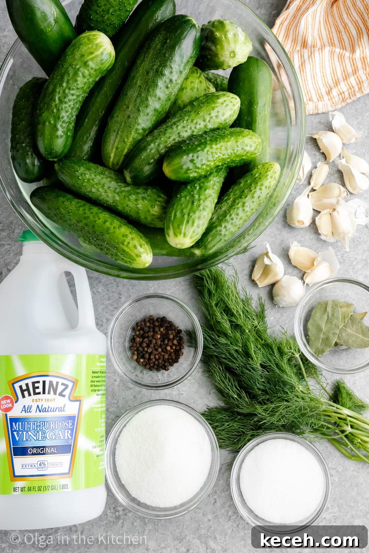 Homemade dill pickles ingredients. Homemade dill pickles ingredients