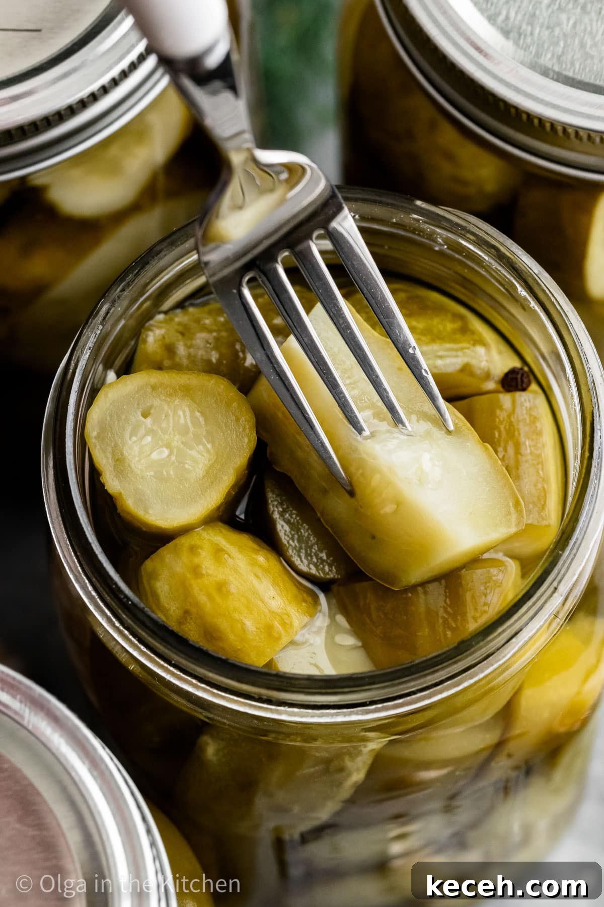 Opened jar of homemade dill pickles. Opened jar of homemade dill pickles.