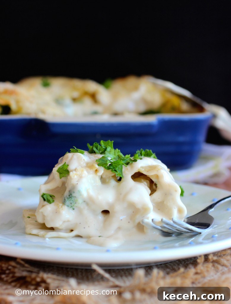 Chicken and Broccoli Alfredo Lasagna Roll-Ups 2 Chicken and Broccoli Alfredo Lasagna Rolls |mycolombianrecipes.com