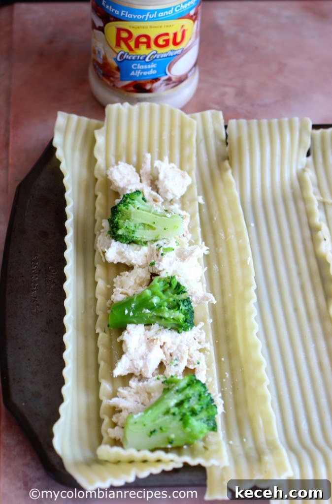 Chicken and Broccoli Alfredo Lasagna Roll-Ups 11 Chicken and Broccoli Alfredo Lasagna Rolls