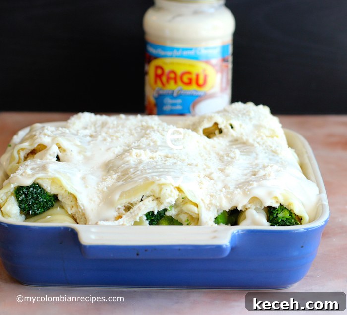 Chicken and Broccoli Alfredo Lasagna Roll-Ups 13 Chicken and Broccoli Alfredo Lasagna Rolls