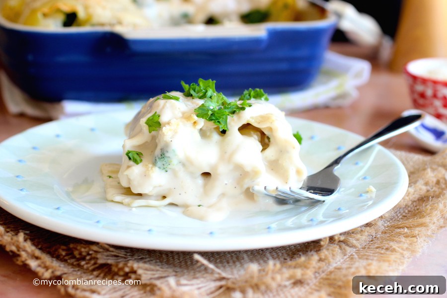 Chicken and Broccoli Alfredo Lasagna Roll-Ups 14 Chicken and Broccoli Alfredo Lasagna Rolls |mycolombianrecipes.com