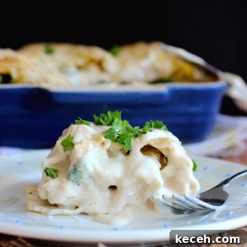 Chicken and Broccoli Alfredo Lasagna Roll-Ups 3 Chicken and Broccoli Alfredo Lasagna Rolls |mycolombianrecipes.com