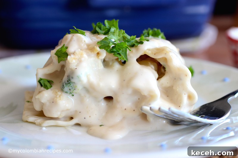 Chicken and Broccoli Alfredo Lasagna Roll-Ups 4 Chicken and Broccoli Alfredo Lasagna Rolls |mycolombianrecipes.com