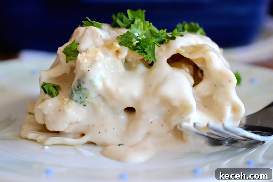 Chicken and Broccoli Alfredo Lasagna Roll-Ups 7 Chicken and Broccoli Alfredo Lasagna Rolls |mycolombianrecipes.com