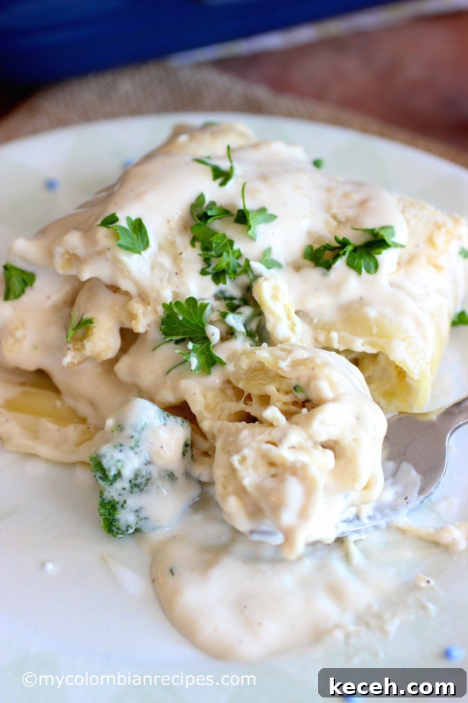 Chicken and Broccoli Alfredo Lasagna Roll-Ups 8 Chicken and Broccoli Alfredo Lasagna Rolls |mycolombianrecipes.com