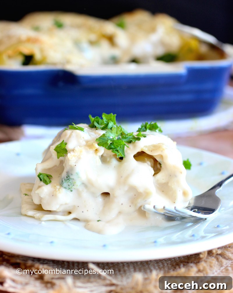 Chicken and Broccoli Alfredo Lasagna Roll-Ups 9 Chicken and Broccoli Alfredo Lasagna Rolls |mycolombianrecipes.com