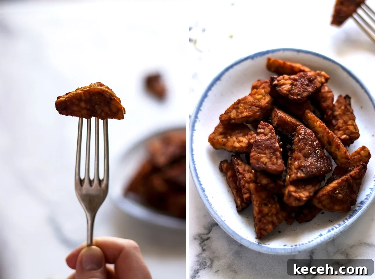 How to Cook Tempeh: Simple Techniques for Flavorful Results 9 Tempeh Triangle on a Fork and A Plate with Baked Tempeh Collage