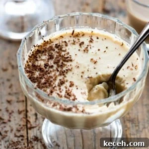 Bailey’s Liqueur Panna Cotta Recipe: Silky Boozy Dessert 7 A close up of baileys panna cotta in a small glass bowl with a spoon in it