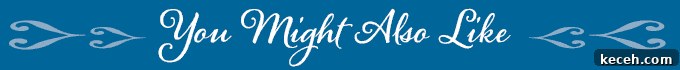 blue banner with the words you might also like