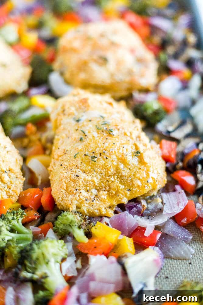21 Flavorful Sheet Pan Dinners for Quick Weeknight Meals 3 chicken sheet pan dinner