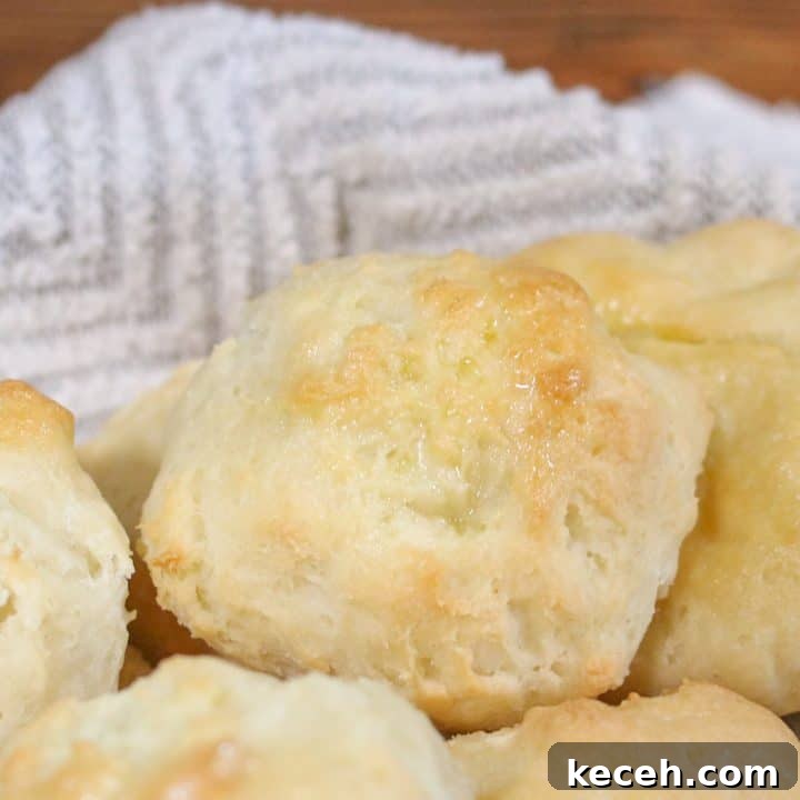 Best ever fluffy gluten free rolls (dairy free and vegan, too)