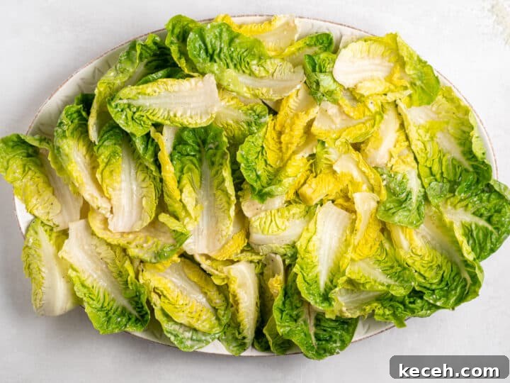 dressed little gem lettuce arranged on platter for Caesar salad