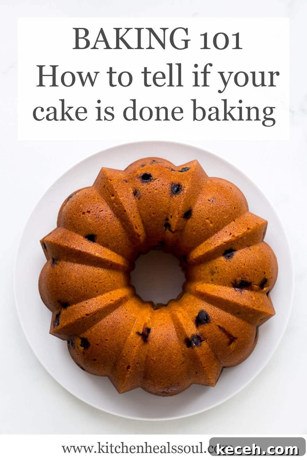How to Tell When Your Cake Is Fully Baked 2 Baking 101 How to tell if your cake is done baking text overlay over picture of golden bundt cake with dried cranberries served on white plate