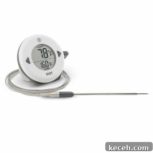 How to Tell When Your Cake Is Fully Baked 3 Thermoworks DOT probe thermometer