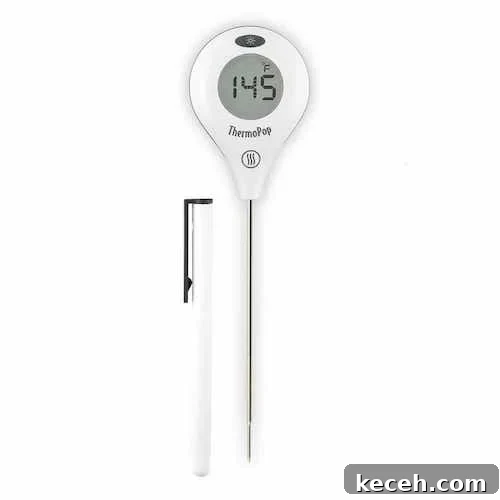 How to Tell When Your Cake Is Fully Baked 5 Thermoworks ThermoPop
