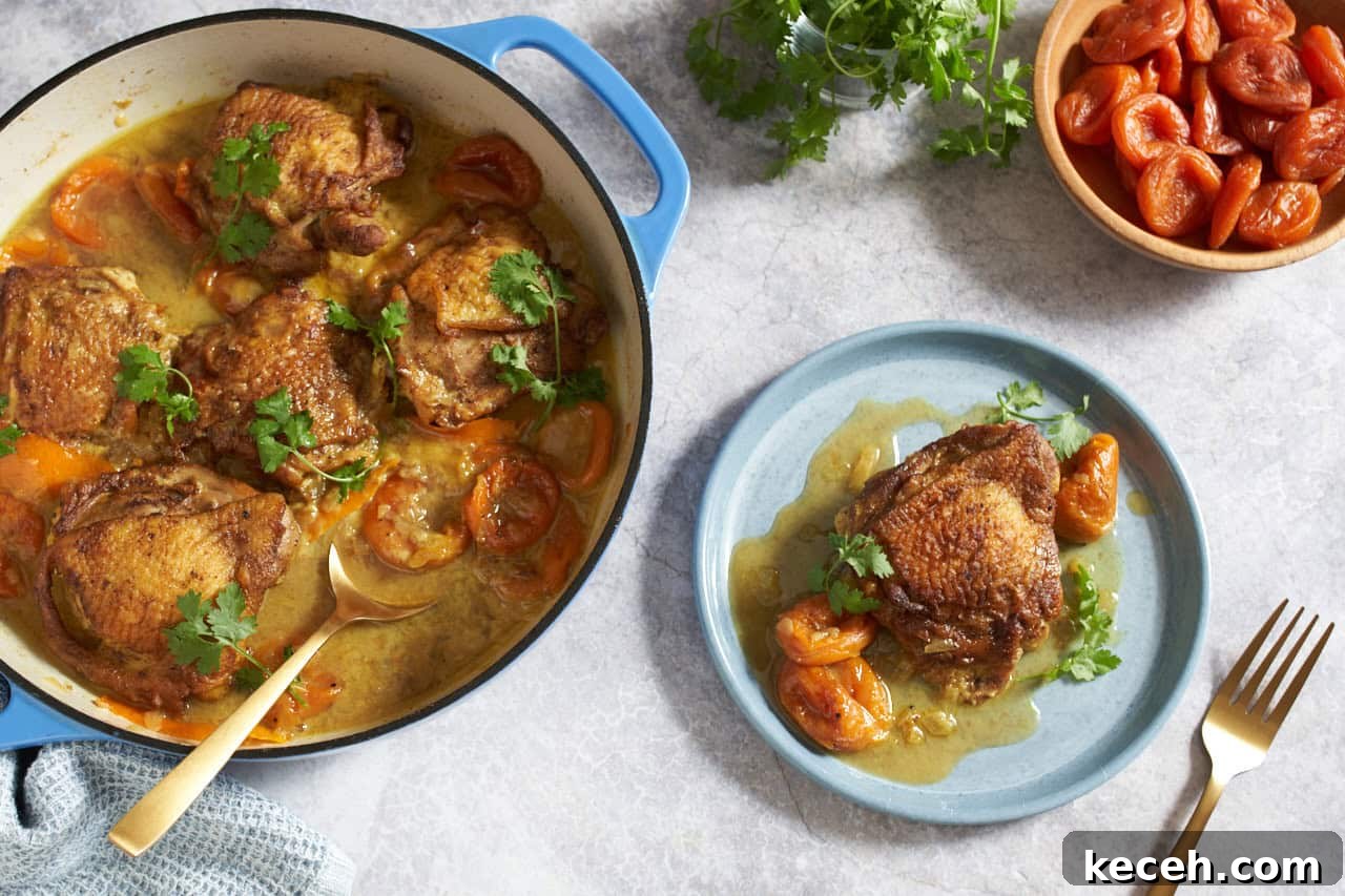 Skillet Chicken Tagine with Apricots and Warm Spices 2 Chicken tagine with apricots in a blue skillet with a gold spoon in it, a plate with a piece of chicken and apricots is on the right, small bowls of cilantro and apricots are in the upper right.