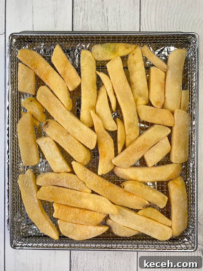 frozen steak fries in an air fryer basket