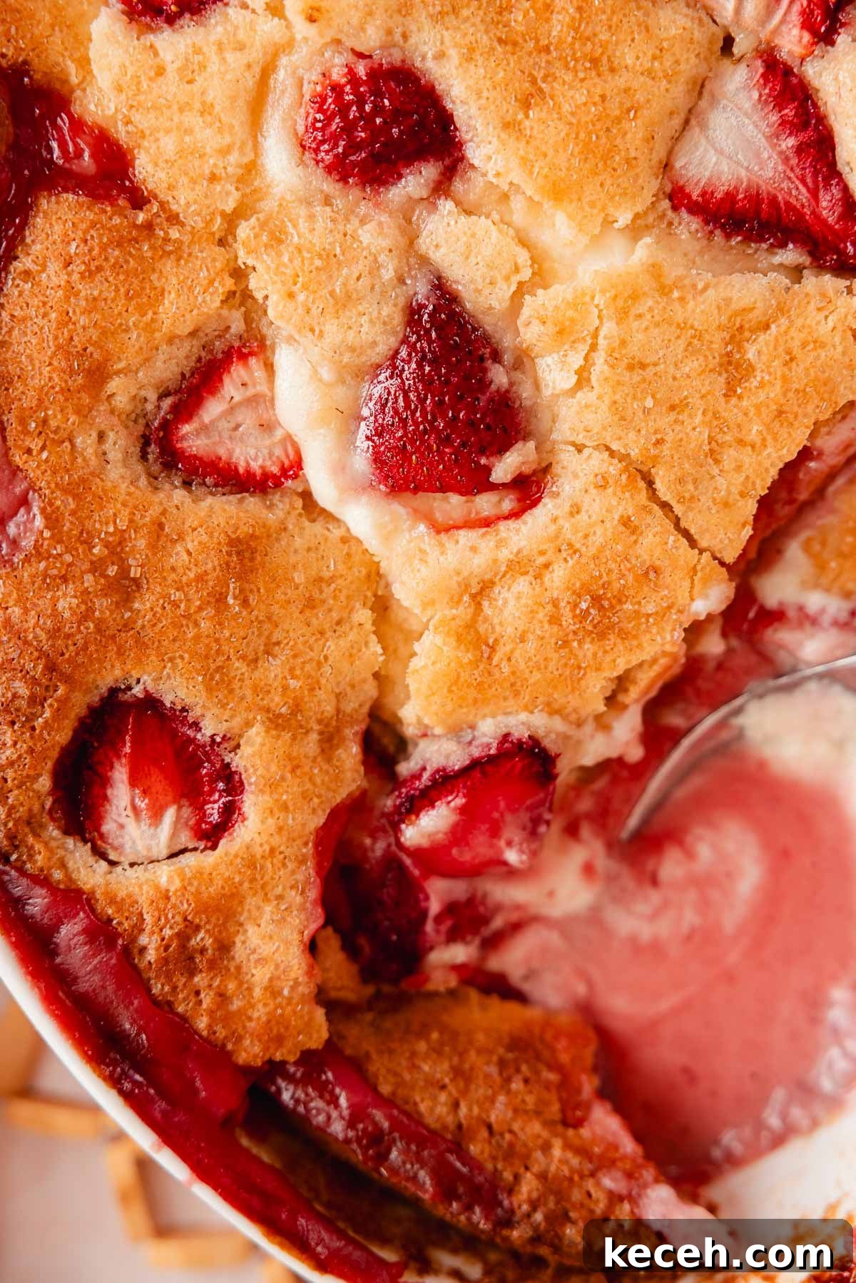Cream Cheese Strawberry Cobbler Recipe — Sweet Rustic Dessert 3 strawberry cobbler closeup