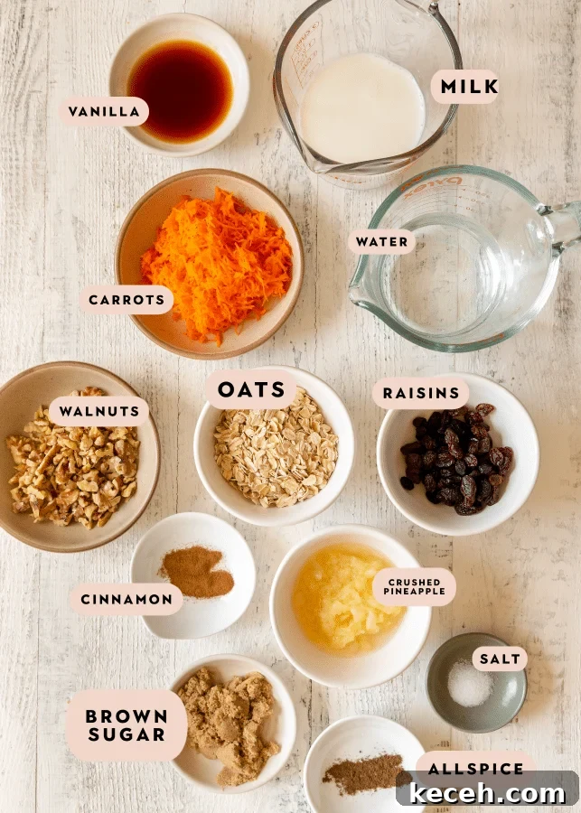 Carrot Cake Oatmeal Recipe: Spiced Overnight Oats with Carrot and Walnut 3 INGREDIENTS NEEDED TO MAKE CARROT CAKE OATMEAL.