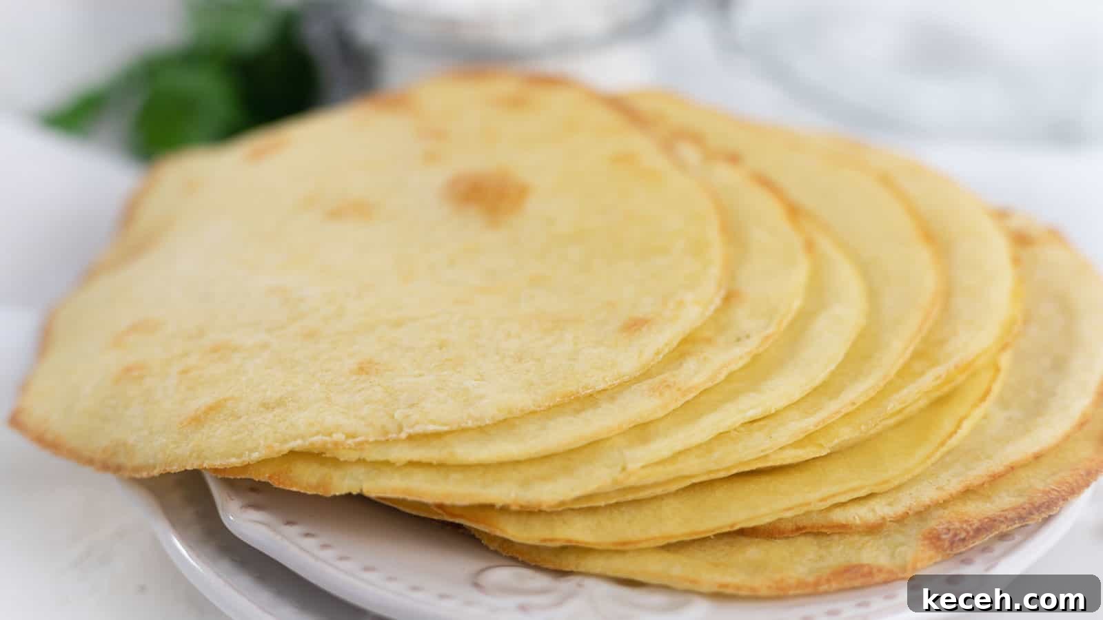 13 Delicious Low-Carb Mexican Recipes Worth Trying 12 Gluten Free Wraps on a white plate.